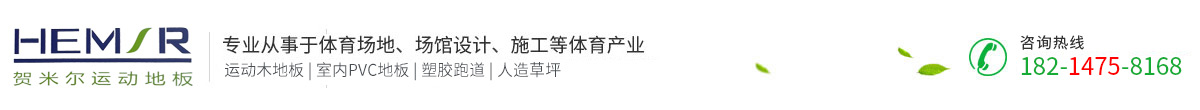 安徽實(shí)陽體育設(shè)施工程有限公司